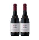 Kit Vinho Casillero Del Diablo Pinot Noir 750ml 2 unidades - Concha Y Toro