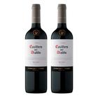 Kit Vinho Chileno Casillero Del Diablo Malbec - 2 Garrafas