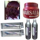 Kit Vinho Marsala 2 Tinta 1 Matizador 250g 2 Ox Mairibel