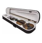 Kit Violino 1/2 Case Crina Cravelhas Vogga VON112N