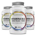 Kit Vitamina B12 + Ácido Fólico + Ferro 3x 60 Cápsulas Cada - Flora Nativa