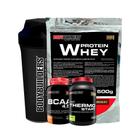 Kit Whey Protein 500G+ Bcaa 100G+ Thermo Start 120Glders