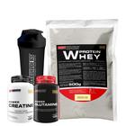 Kit Whey Protein 500g + Power Creatina 100g + Power Glutamina 100g + Coqueteleira 600ml- Kit de Suplementos em Pó para Ganho de Massa Muscular e Força