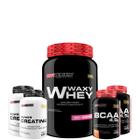 Kit Whey Protein Waxy Whey Pote 900g + 2x BCAA 100g + 2x Power Creatina 100g - Kit para Ganho de Massa Muscular - Bodybuilders