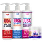 Kit Widi Care Encaracolando Juba, Encrespando, Shampoo E Máscara