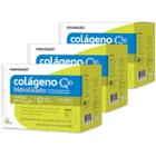 KIT3X-Colág. Hidro. 2em1- Verisol +Q10 30 saches 5 g-Uva Verde