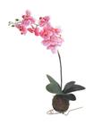 Kokedama De Orquídea Branca E Rosa Arranjo Flor Artificial - Flordecorar