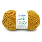 Lã Fast Fini Cisne 100g 120 metros