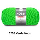 Lã Fio Hobby Círculo 100G 160M Novelo - Tricô E Crochê