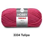 Lã Fio Hobby Círculo 100g 160m Novelo - Tricô e Crochê