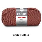 Lã Fio Hobby Círculo 100g 160m Novelo - Tricô e Crochê