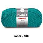 Lã Fio Hobby Círculo 100g 160m Novelo - Tricô e Crochê