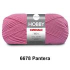 Lã Fio Hobby Círculo 100g 160m Novelo - Tricô e Crochê