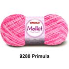 Lã Fio Mollet Círculo 100g 200m Novelo Multicolor - Cores