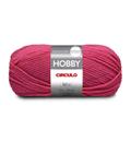 Lã Hobby 100g 160m Círculo