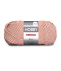 Lã Hobby 100g 160m Círculo