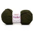 Lã Mollet 100g - 2