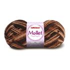 LÃ MOLLET 100g (CORES MESCLADAS) - CÍRCULO