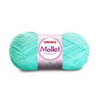 Lã Mollet Circulo 100G 0453- Trevo
