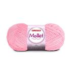 Lã Mollet Circulo 100G 0769- Chiclete