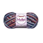 Lã Mollet Circulo 100G Mescladas 9427- Flor