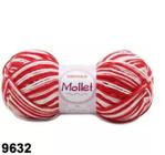 Lã Mollet Círculo Cor Mesclada 100G - 9642 - Circulo