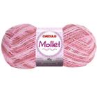 Lã Mollet Círculo Cor Rosa Mesclada 100g - 9373 - Circulo