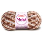 Lã Mollet Círculo Cor ul Mesclada 100G - 9533