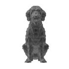 Labradoodle Cachorro Pet Decoração 3D