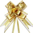 Laço Fácil de Organza com Poliester 50mmx74cm Pacote com 10 Unidades