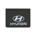 Lameiro Dianteiro Para Hyundai 42x30 cm