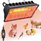 Lâmpada de aquecimento Chicken Brooder Placa de aquecimento de 250W para pintinhos - ETSSXYSO