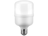 Lâmpada de LED Elgin Branca E27 20W - 6500K Super Bulbo T100