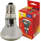 Lâmpada Filamento Led Spot Espelhada 4W R63 Bivolt Neutro - SADOKIN