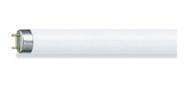 Lâmpada Fluorescente Tubular T10 20w 6500k 60cm Phillips