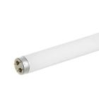 Lampada Fluorescente Tubular T8 18w 6500K Branco Frio 60cm - NSK