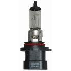 Lampada Halogena 12v 55w P22d Base Reta