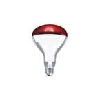 Lâmpada infravermelho 110v x 150w g light