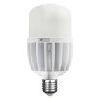 Lâmpada LED de Alta Potência 30W Bivolt - FOXLUX