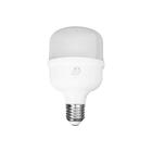 Lâmpada Super Bulbo Led 30w Bivolt E27 Branca Fria 6500k