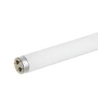 Lampada Tubular T12 Fluorescente 20W Cor Rosa G13 60CM - SYLVANIA