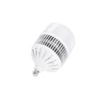 Lampada ultra led alta potencia 65w e27 biv