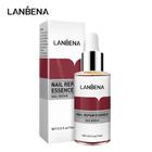 Lanbena Prego Reparação Essência 12ML - Curso Pequeno