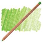 Lápis de Cor Faber-Castell Pitt Pastel Seco 168 Verde Terra Amarelado