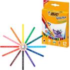 Lápis De Cor Jumbo Evolution Triangular 12 Cores Bic