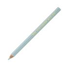 Lapis de Cor Jumbo Metallic Caran D'ache Escolha a Cor - CARANDACHE OFFICE