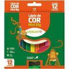 Lápis De Cor Mini Big 12 Cores - Leo&Leo