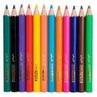 Lápis de cor mini sextavado 12 cores papelaria