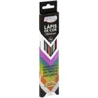 Lapis de COR Sextavado 6 Cores Metalicas P/PAPEL ESCU - BRW