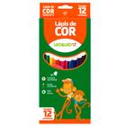 Lápis de Cor Sextavado Estojo com 12 cores - Leo&Leo